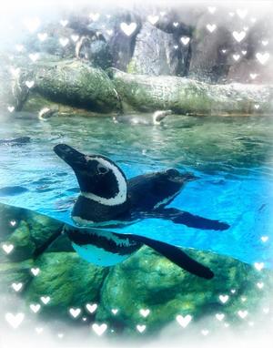 はるかの写メ日記｜トリプルA 横浜高級店ソープ