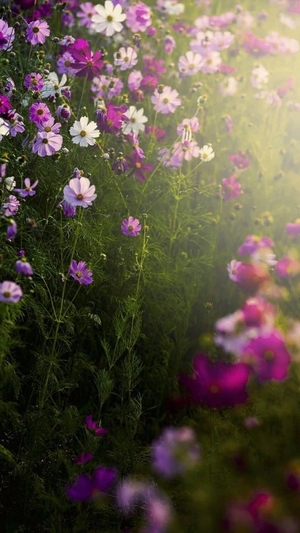 こころの写メ日記｜トリプルA 横浜高級店ソープ