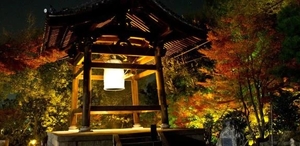 こころの写メ日記｜トリプルA 吉原高級店ソープ