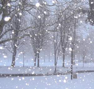 こころの写メ日記｜トリプルA 吉原高級店ソープ