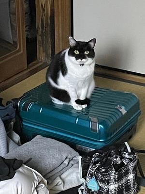 もえかの写メ日記｜アクアマリン 茨城県・水戸格安店ソープ