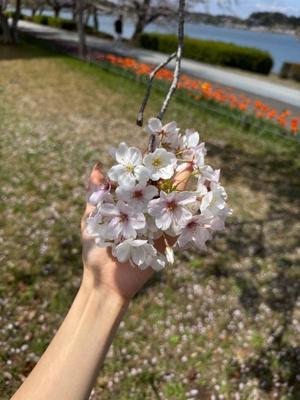 みおの写メ日記｜アクアマリン 茨城県・水戸格安店ソープ