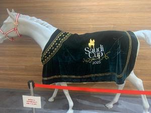 ことりの写メ日記｜ビッグマン 吉原大衆店ソープ