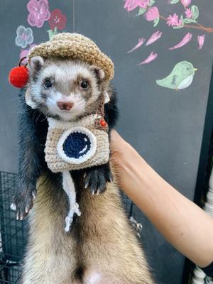 ことりの写メ日記｜ビッグマン 吉原大衆店ソープ