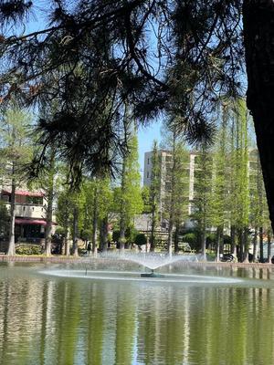 あやのの写メ日記｜ビッグマン 吉原大衆店ソープ