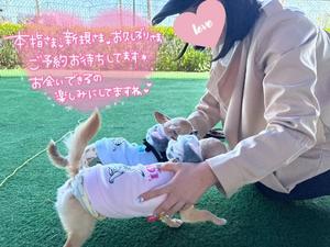 あやのの写メ日記｜ビッグマン 吉原大衆店ソープ