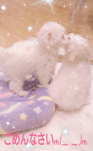 なつきの写メ日記｜シーザースパレス 吉原大衆店ソープ