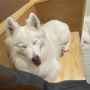 桜井 ひなたの写メ日記｜カサノヴァ 吉原大衆店ソープ