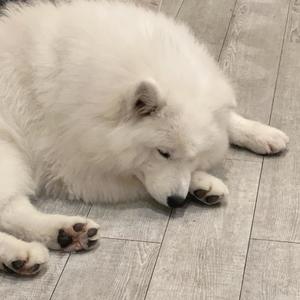 桜井 ひなたの写メ日記｜カサノヴァ 吉原大衆店ソープ