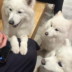 桜井 ひなたの写メ日記｜カサノヴァ 吉原大衆店ソープ
