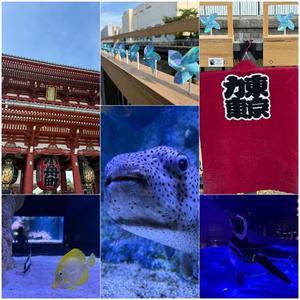 滝沢 らむの写メ日記｜カサノヴァ 吉原大衆店ソープ