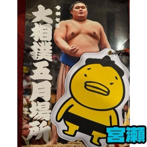 宮瀬えりかの写メ日記｜シャトーペトラ 吉原大衆店ソープ