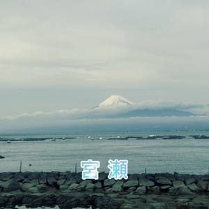 宮瀬えりかの写メ日記｜シャトーペトラ 吉原大衆店ソープ