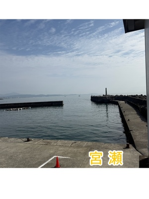 宮瀬えりかの写メ日記｜シャトーペトラ 吉原大衆店ソープ