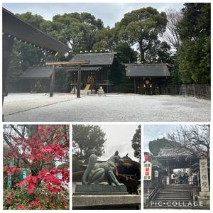 黒木の写メ日記｜シャトーペトラ 吉原大衆店ソープ