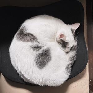 片桐かなでの写メ日記｜シャトーペトラ 吉原大衆店ソープ