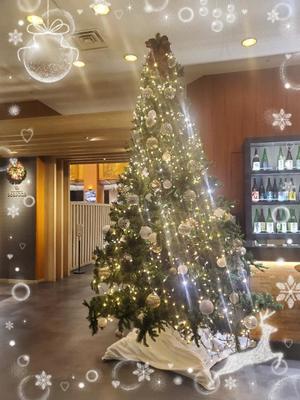 柚葉の写メ日記｜シャトーペトラ 吉原大衆店ソープ