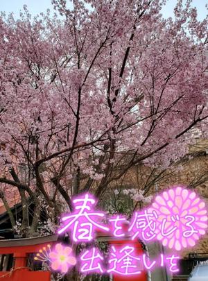 柚葉の写メ日記｜シャトーペトラ 吉原大衆店ソープ