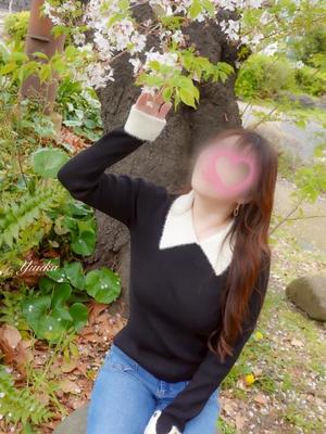 優花の写メ日記｜シャトーペトラ 吉原大衆店ソープ