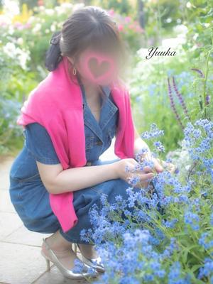 優花の写メ日記｜シャトーペトラ 吉原大衆店ソープ