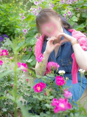 優花の写メ日記｜シャトーペトラ 吉原大衆店ソープ