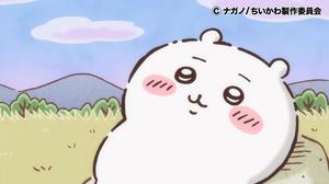 舞の写メ日記｜シャトーペトラ 吉原大衆店ソープ