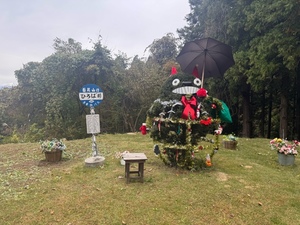 瀬戸マリ子の写メ日記｜シャトーペトラ 吉原大衆店ソープ