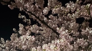 瀬戸マリ子の写メ日記｜シャトーペトラ 吉原大衆店ソープ