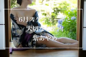 紫 あやめの写メ日記｜シャトーペトラ 吉原大衆店ソープ