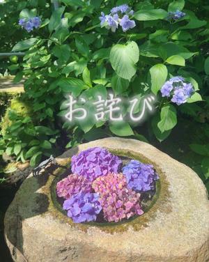 ちづるの写メ日記｜シャトーペトラ 吉原大衆店ソープ