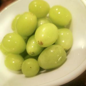 青山せりの写メ日記|シャトーペトラ 吉原大衆店ソープ