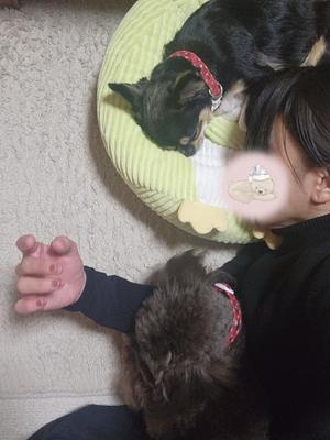 青山せりの写メ日記｜シャトーペトラ 吉原大衆店ソープ