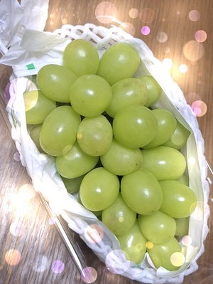 彩の写メ日記｜シャトーペトラ 吉原大衆店ソープ