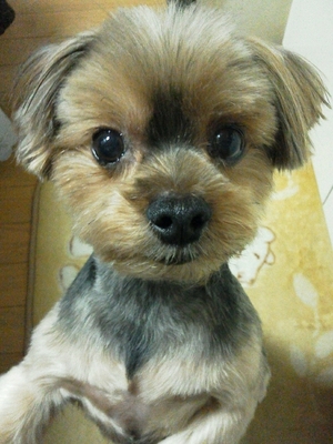 彩の写メ日記｜シャトーペトラ 吉原大衆店ソープ