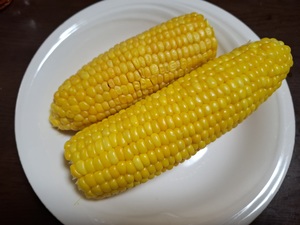 彩の写メ日記｜シャトーペトラ 吉原大衆店ソープ