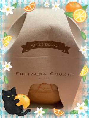 詩音の写メ日記｜シャトーペトラ 吉原大衆店ソープ