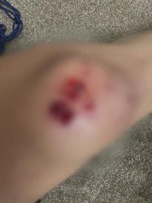 詩音の写メ日記|シャトーペトラ 吉原大衆店ソープ