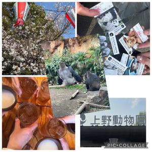 詩音の写メ日記｜シャトーペトラ 吉原大衆店ソープ