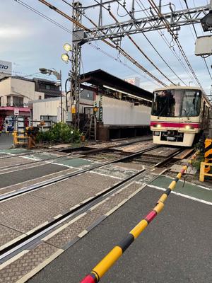詩音の写メ日記｜シャトーペトラ 吉原大衆店ソープ