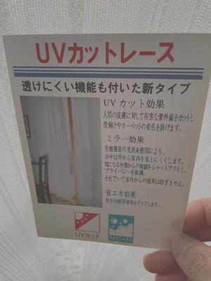 詩音の写メ日記｜シャトーペトラ 吉原大衆店ソープ