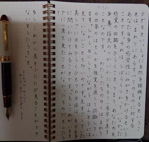 藤咲の写メ日記｜シャトーペトラ 吉原大衆店ソープ