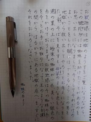 藤咲の写メ日記｜シャトーペトラ 吉原大衆店ソープ