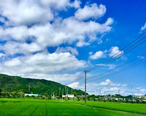 沙織の写メ日記｜シャトーペトラ 吉原大衆店ソープ