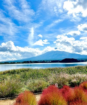沙織の写メ日記｜シャトーペトラ 吉原大衆店ソープ