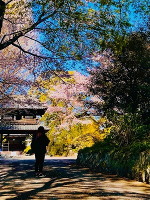 沙織の写メ日記｜シャトーペトラ 吉原大衆店ソープ