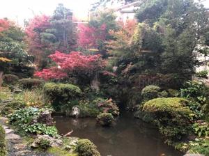 茜の写メ日記｜シャトーペトラ 吉原大衆店ソープ