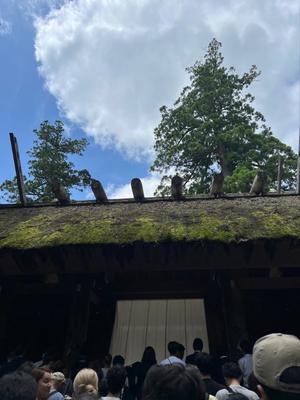 茜の写メ日記｜シャトーペトラ 吉原大衆店ソープ