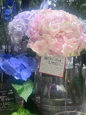 茜の写メ日記｜シャトーペトラ 吉原大衆店ソープ