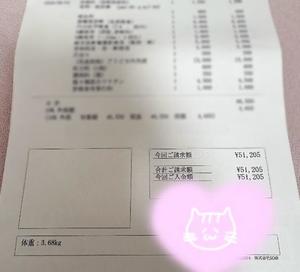 かのんの写メ日記｜クラブ貴公子 吉原大衆店ソープ