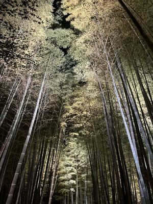 きみの写メ日記｜クラブ貴公子 吉原大衆店ソープ